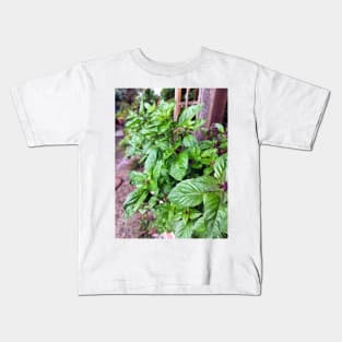 Basil Kids T-Shirt